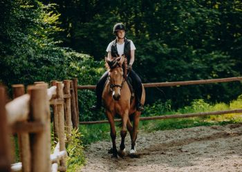 Hotel Klaudia - Nasze konie