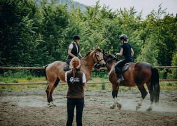 Hotel Klaudia - Nasze konie