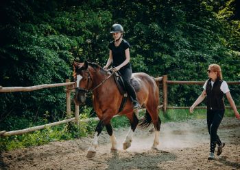 Hotel Klaudia - Nasze konie