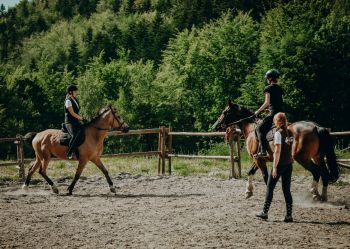 Hotel Klaudia - Nasze konie