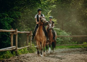 Hotel Klaudia - Nasze konie