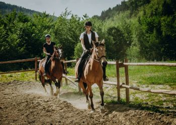 Hotel Klaudia - Nasze konie