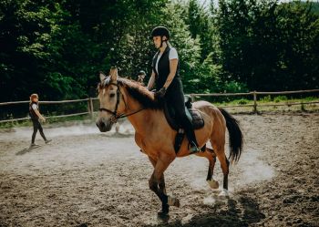 Hotel Klaudia - Nasze konie