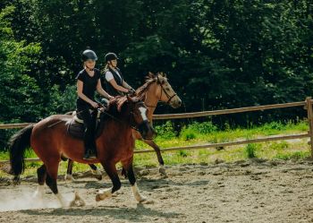 Hotel Klaudia - Nasze konie