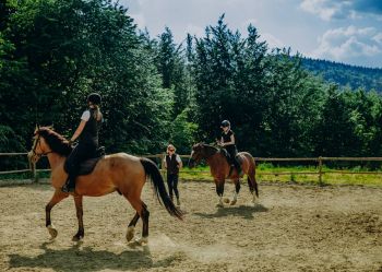 Hotel Klaudia - Nasze konie