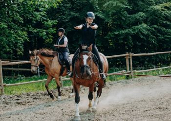 Hotel Klaudia - Nasze konie