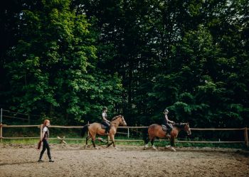 Hotel Klaudia - Nasze konie