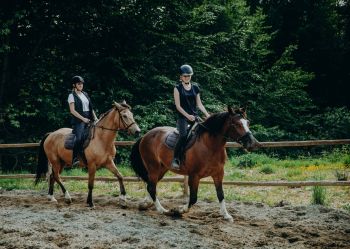 Hotel Klaudia - Nasze konie