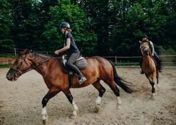 Hotel Klaudia - Nasze konie