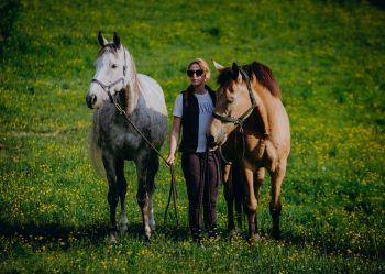 Hotel Klaudia - Nasze konie