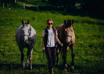 Hotel Klaudia - Nasze konie
