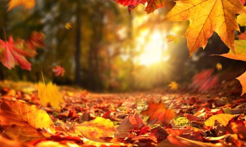 Długi weekend listopadowy